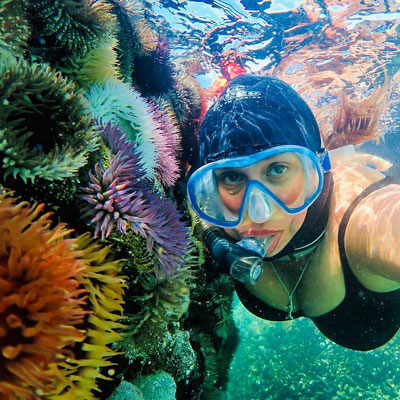 Snorkeling Free Diving