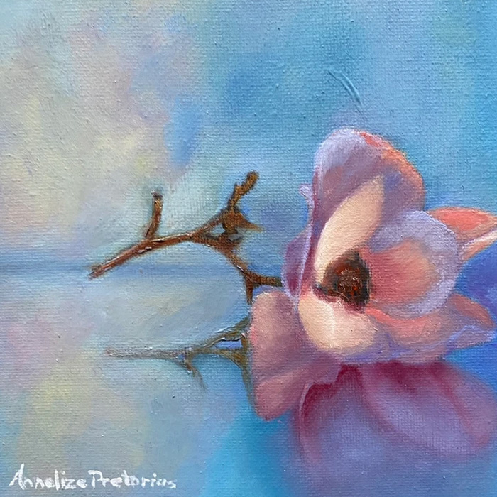 flower-reflections Unique Shops in Paternoster | Local Crafts, Art & Gifts