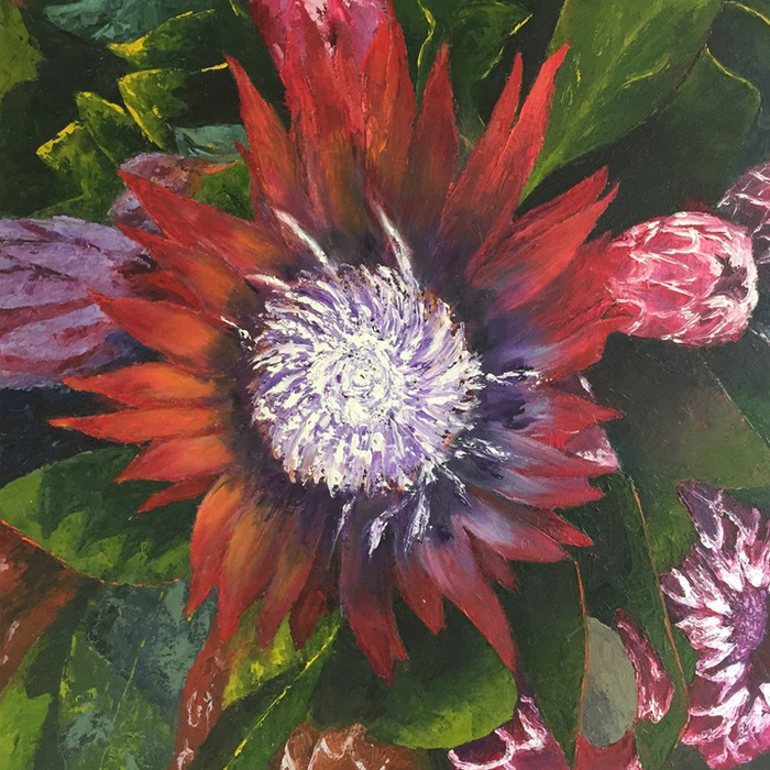 proteas Unique Shops in Paternoster | Local Crafts, Art & Gifts